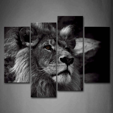 Wall Art Pictures Lion Head