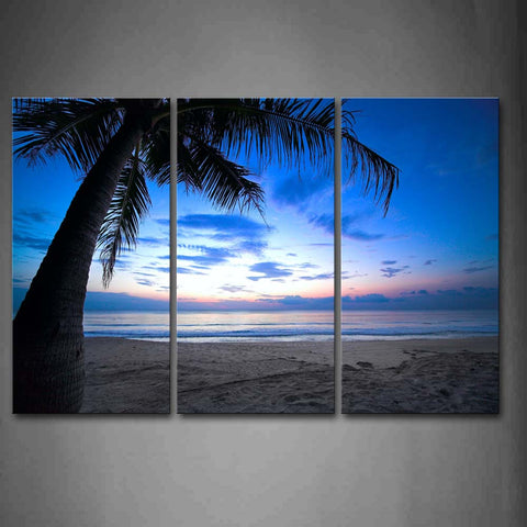 Wall Art  Beach Palm