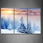 Wall Art Tree Snow Sunlight Winter