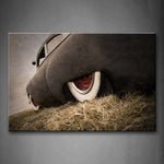 Wall Art Pictures Wheel Car Grass