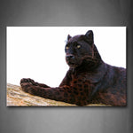 Wall Art Black Panther Wood