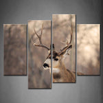 Wall Art Pictures Mule Deer