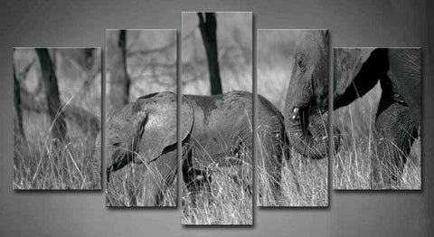 Wall Art Pictures Elephant Grass
