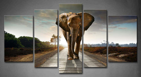 Wall Art Pictures Elephant Road