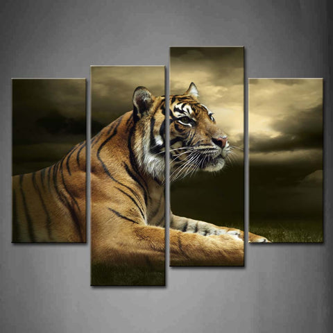 Wall Art Pictures Tiger Sky