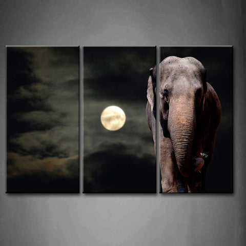 Wall Art Pictures Elephant Night Full Moon