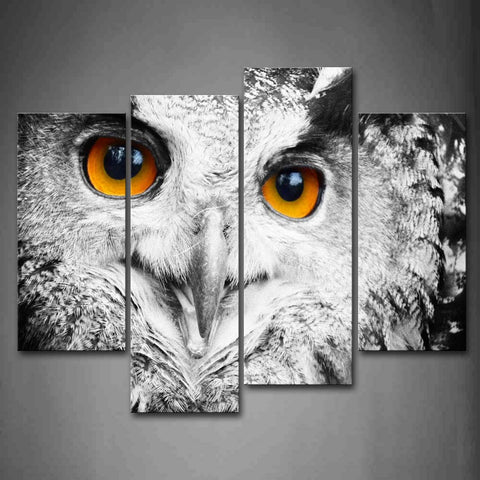 Wall Art Owl Head Portrait