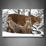 Wall Art Cheetah Snowfield